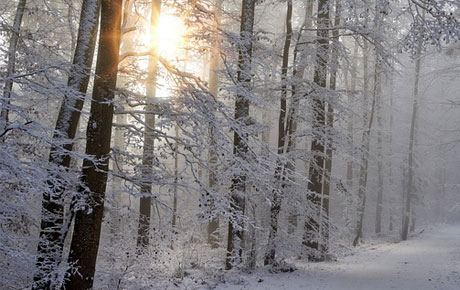 winter in New England - why its important to handle home maintenance before cold weather comes