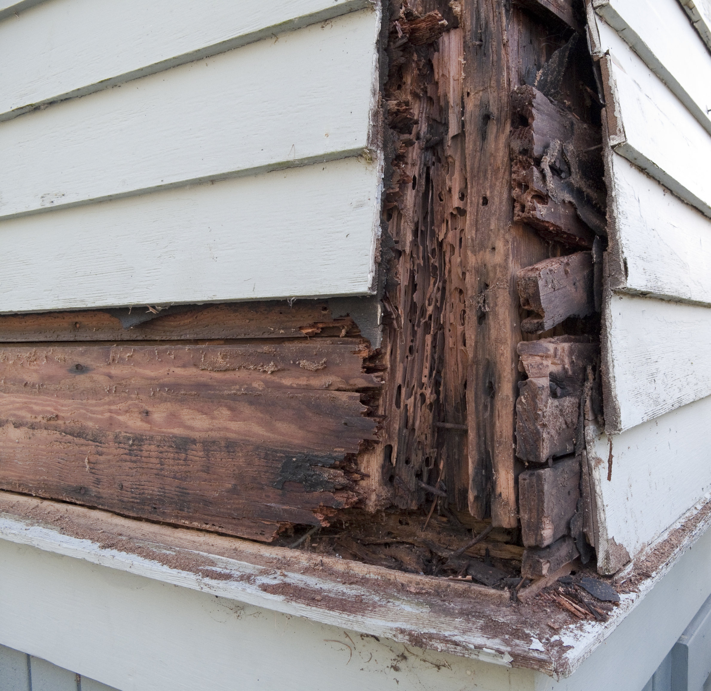 Rot repair